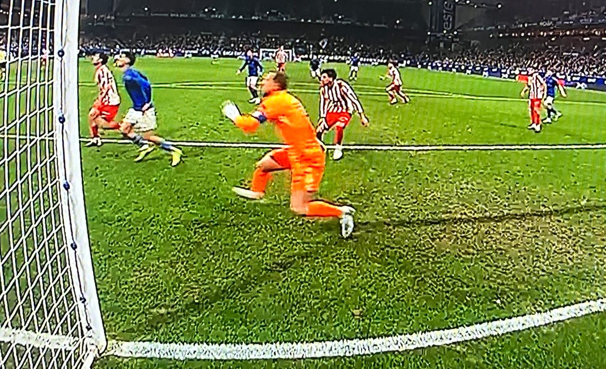 Juan Gato tweet media