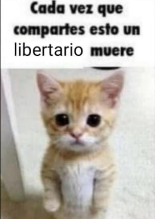 ffranchotaa's tweet photo. @porqetendencias sacrificar el país para que le caiga una bomba iraní en el culo es un precio que estoy dispuesto a pagar https://t.co/3swtyUHRps