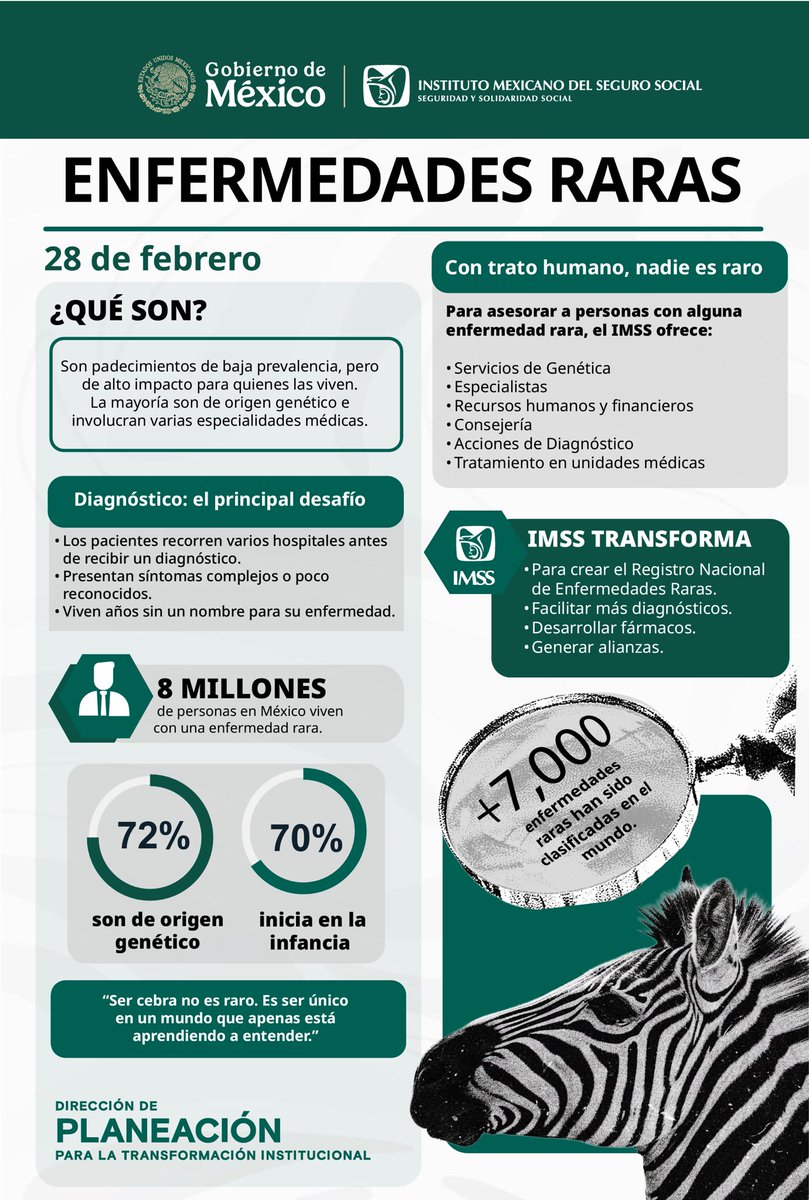 AMIIF México tweet media