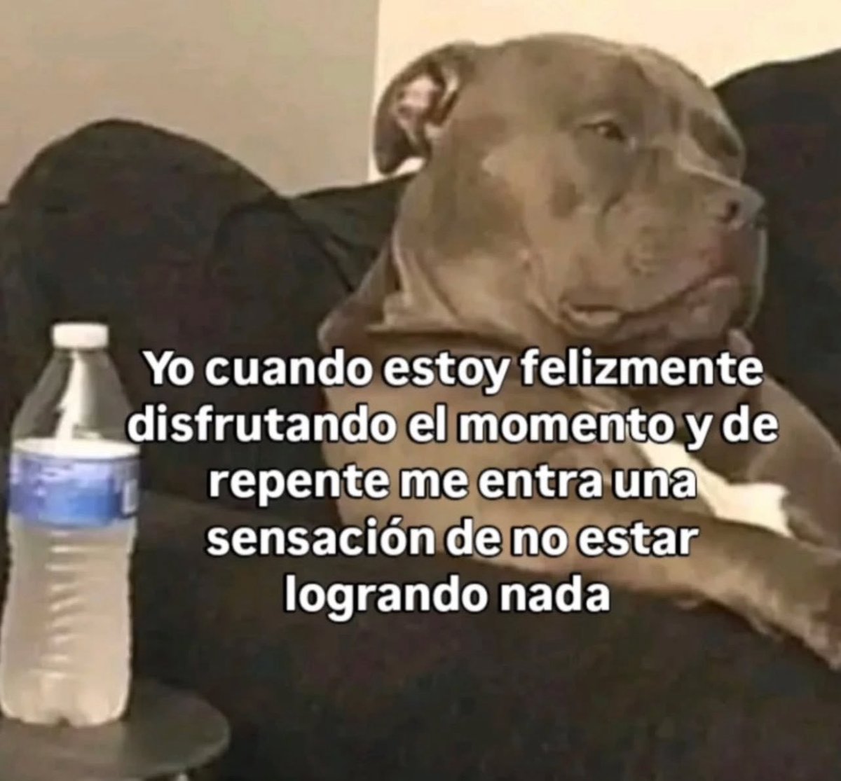 emociones amarillas (@conoloracigarro) on Twitter photo 