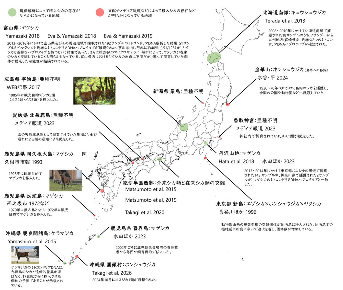 ちなみにニュージーランドの鹿はニホンジカで現地名は「Shika deer」