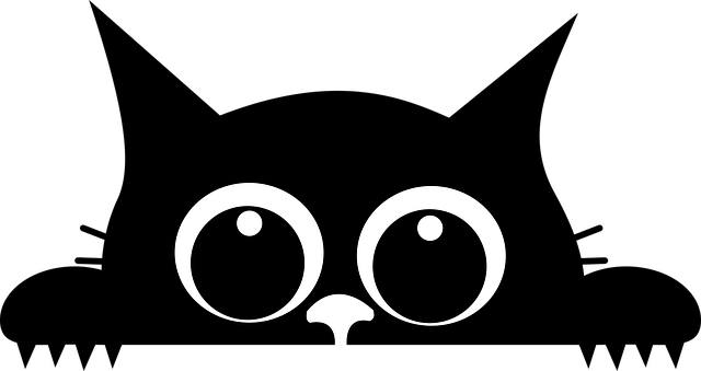 Dieter Adelbert tweet media