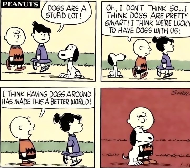 Daily Snoopy (@dailysnoopys) on Twitter photo 