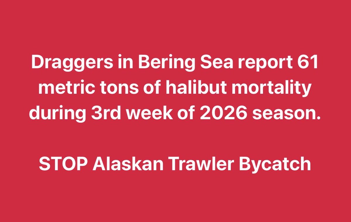 Trawler Bycatch Tracker 🦀 tweet media
