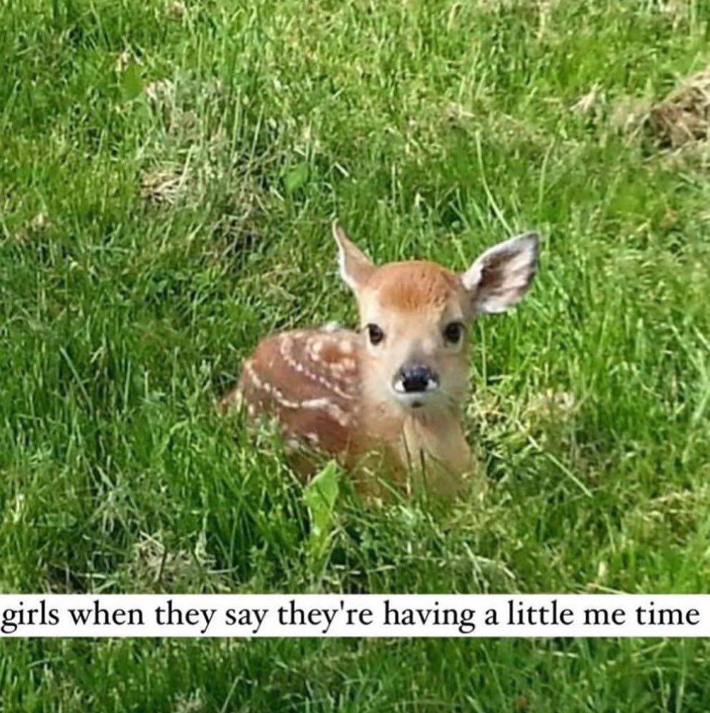 deershouldnt's tweet photo. just a little me time https://t.co/sVTRL3BZfb