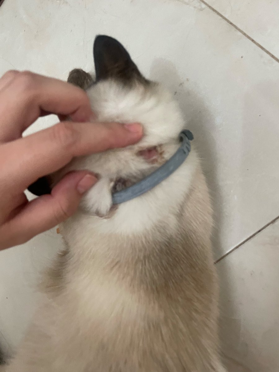 Coffee ( COMISSÕES DE EMERGENCIA) tweet media