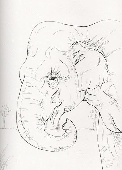 Today's Spirit Guide is Elephant! 😄

Weighing up to 8 tons, they are the largest living land mammals and have only 2 species: the Asian and African Elephants. Spiritually, they represent strength, ancient power, royalty, matriarchal community, family, and memory.

🐘