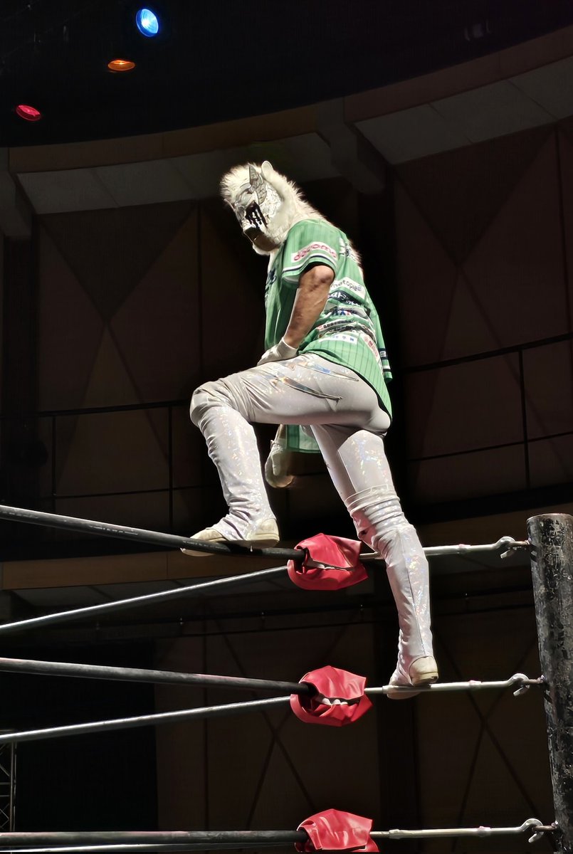 🏳️‍🌈彩希～saki～🇲🇽🪽🍀 tweet media