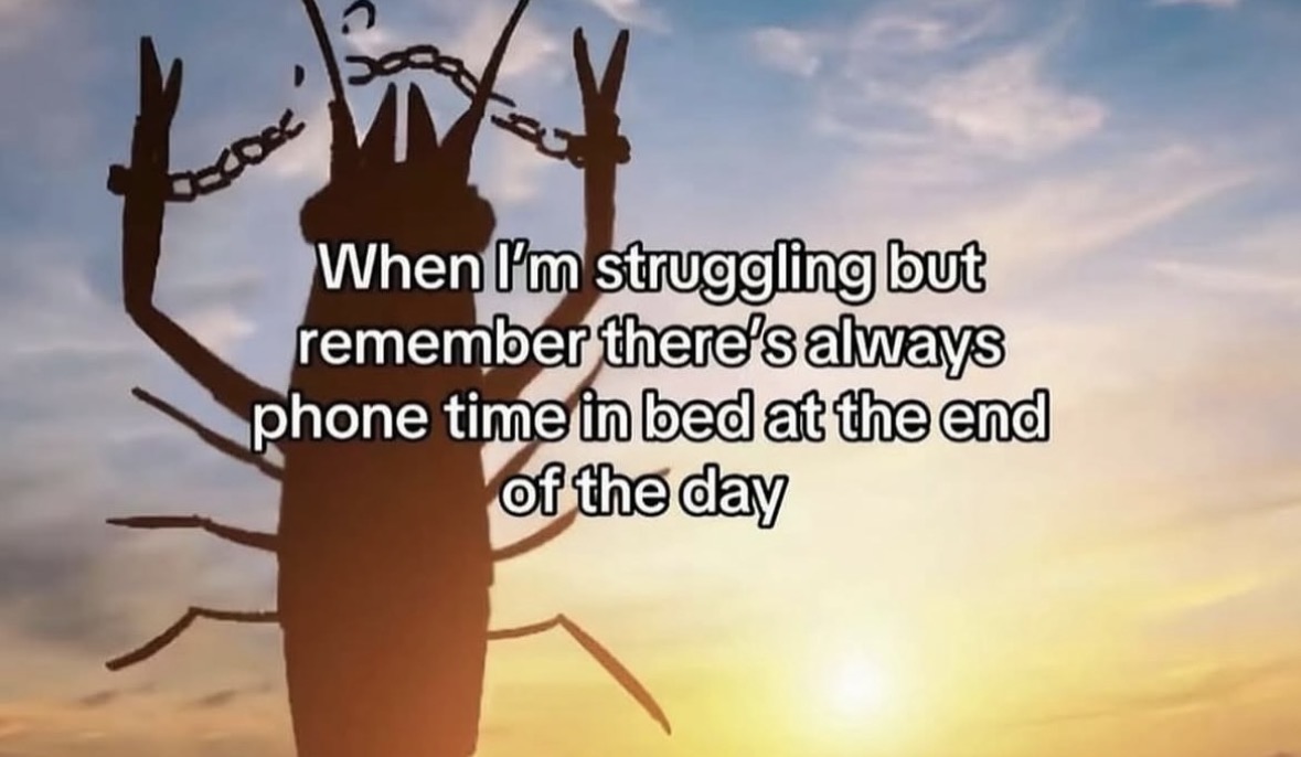 RespectfulMemes's tweet photo. https://t.co/uCch2IJwxn