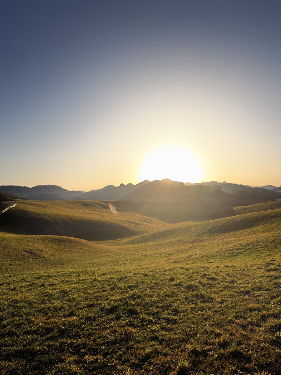 Alexander 🇨🇭💎 tweet media