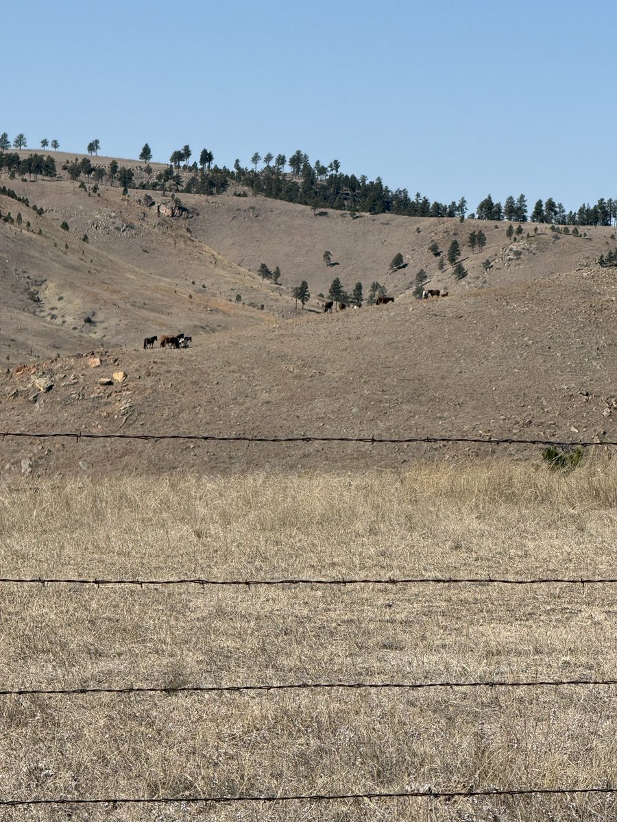 TheLaughinPlace tweet media