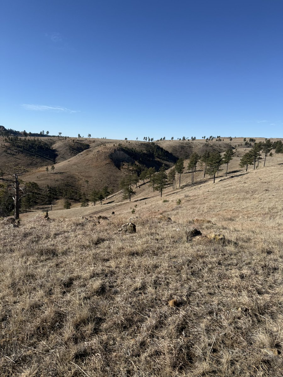 TheLaughinPlace tweet media