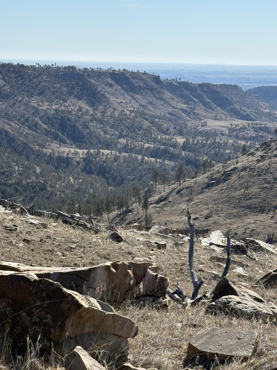 TheLaughinPlace tweet media