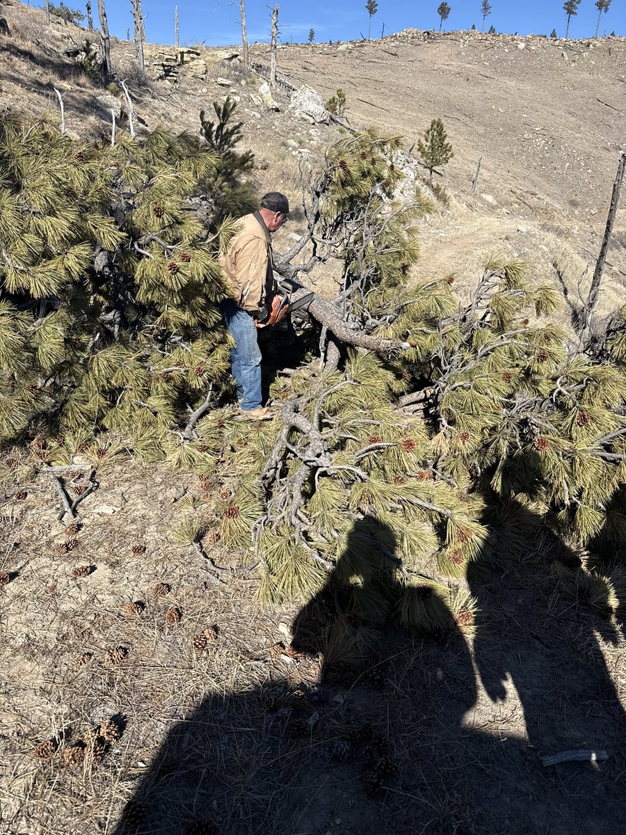 TheLaughinPlace tweet media