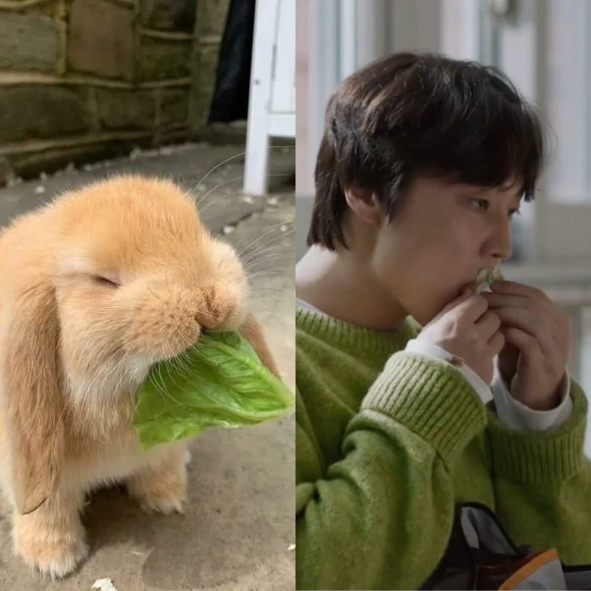 not toxic namgyu fan #1 tweet media