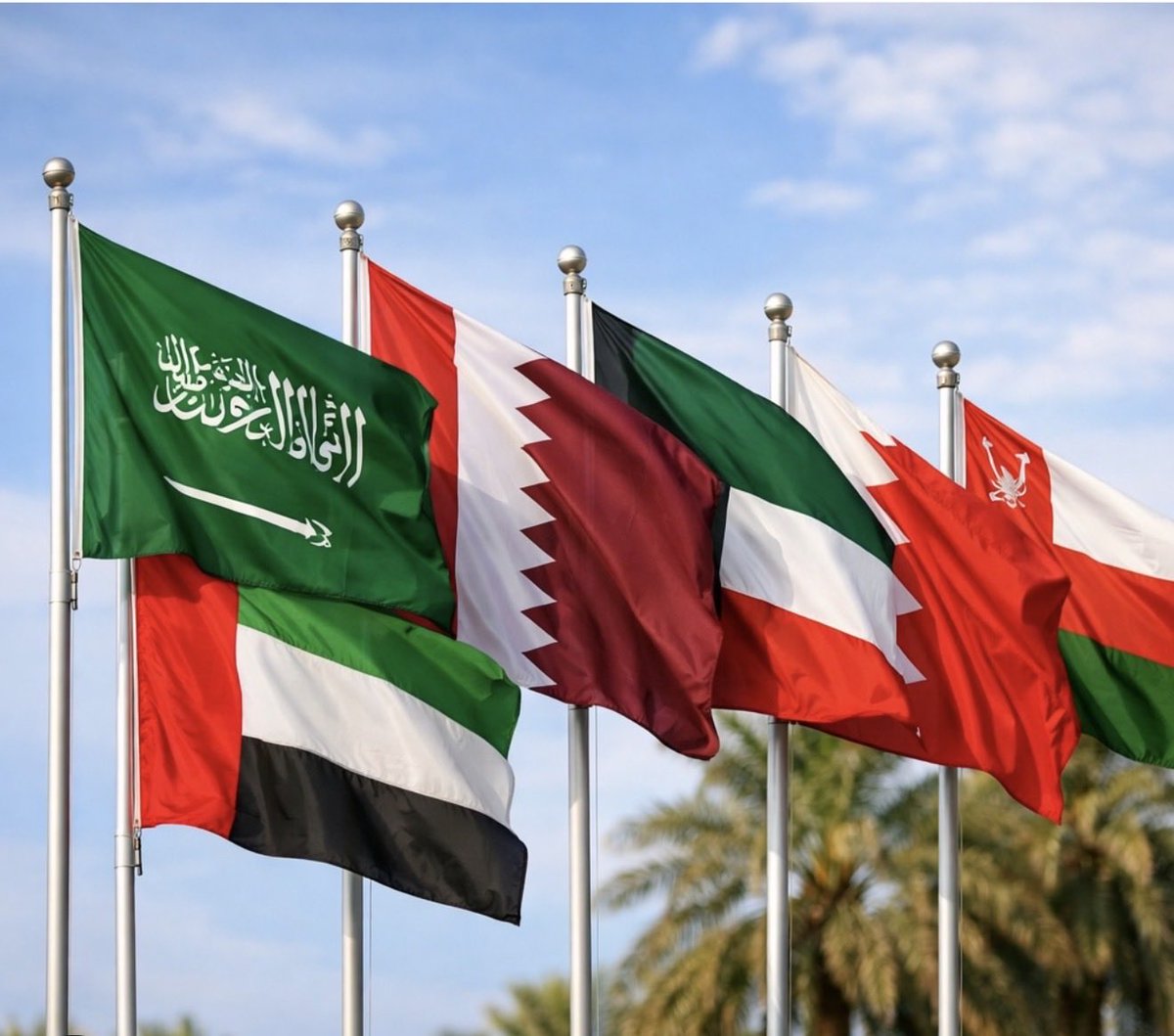 NourAli_Offic's tweet photo. اللهم تحفظ دول الخليج يارب  🤍🙏🏻 https://t.co/T2tqvPPVyt