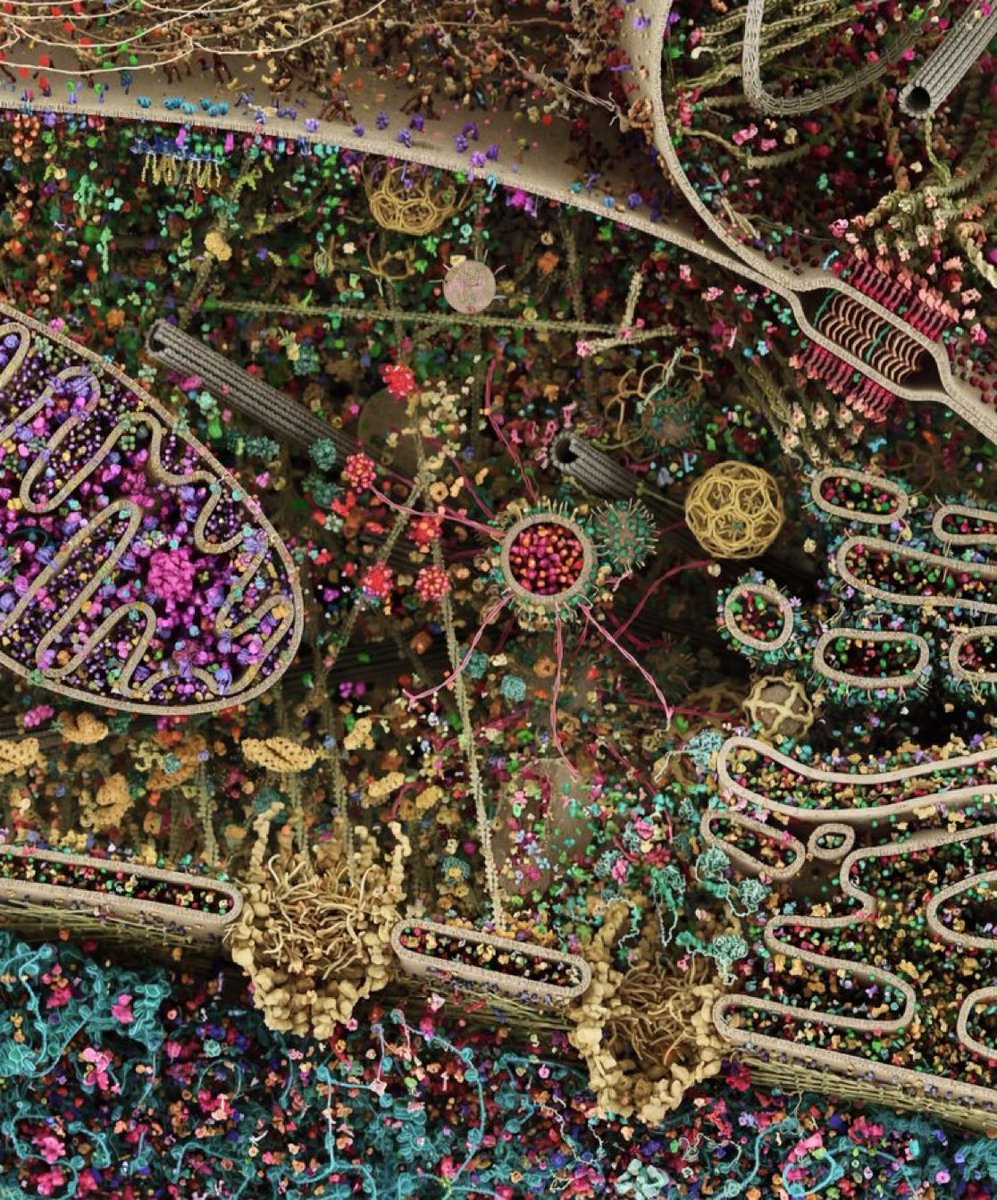 El Club del Arte 🎨📷📚🖼🕍🎼 tweet media