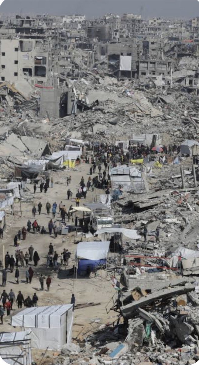 Zachary Foster tweet media