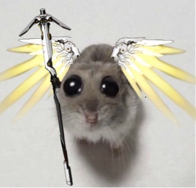 𝓐𝐍͟𝐆͟𝐄͟𝐋͟𝐀͟ .ᐟ ˎˊ˗ tweet media