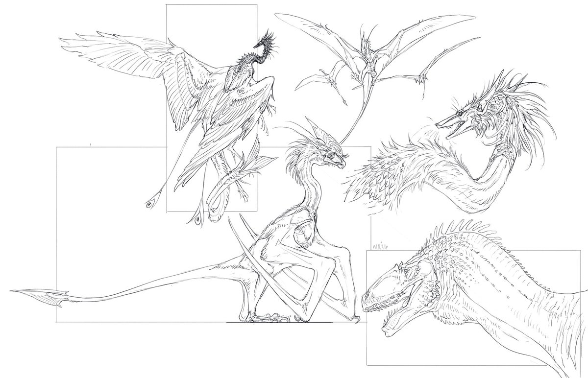 NukeRooster tweet media