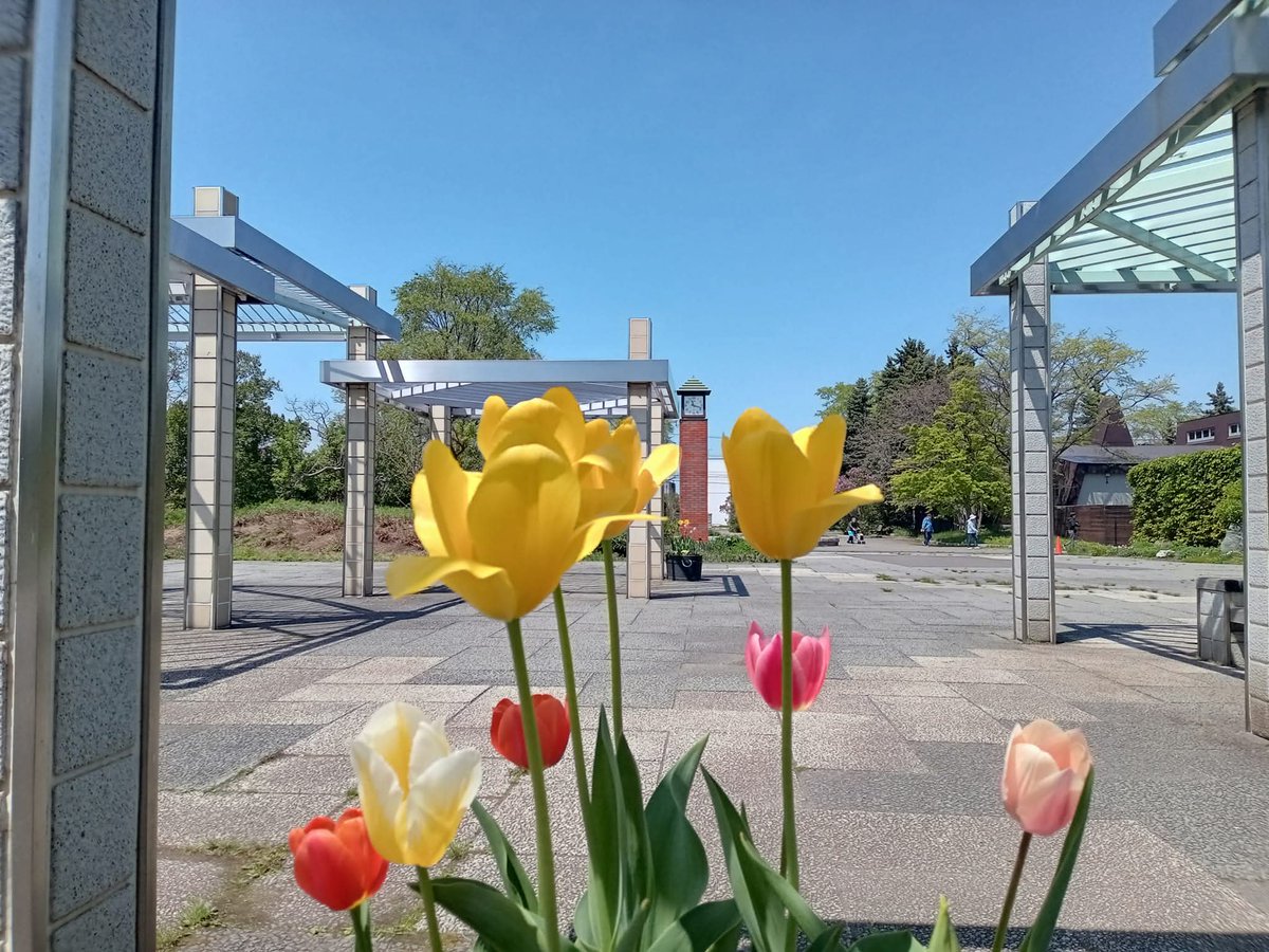 ぼっち tweet media