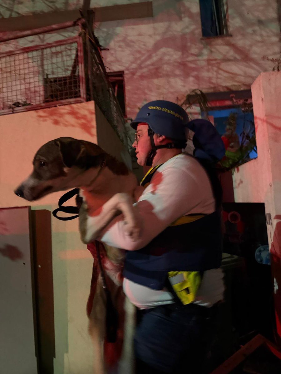 NeriaKraus's tweet photo. This is Israeli humanity. A building in Tel Aviv was hit by an Iranian missile. Medical personnel are already on the ground, risking their lives to rescue not only people, but also this cute dog. https://t.co/nJPvTJjxbk