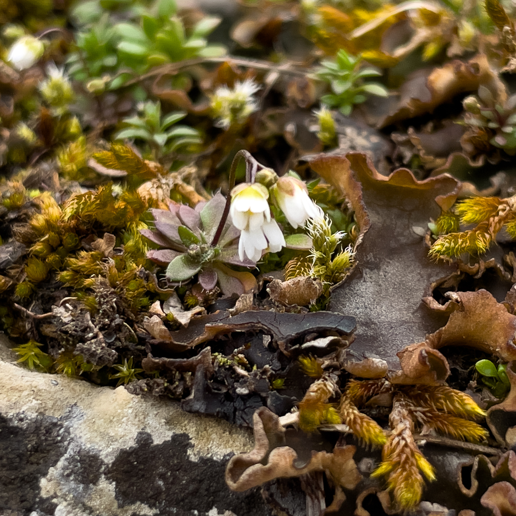 Thomas Wagner tweet media