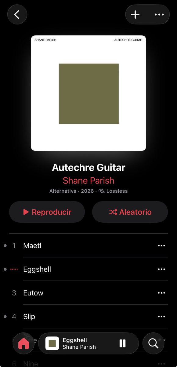 rest in power sophie, te hubiera encantando 'autechre guitar'.