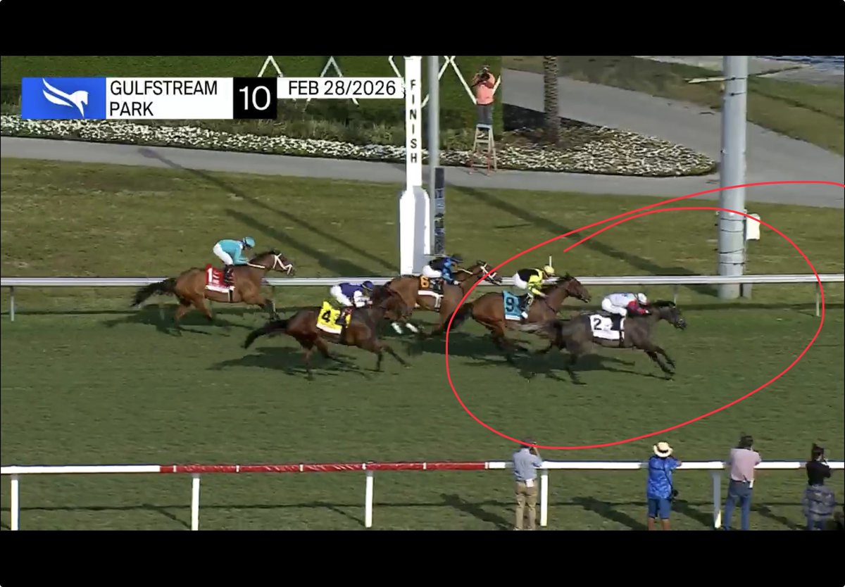 Jose Luis y Diego Suscripcion Elite tweet media