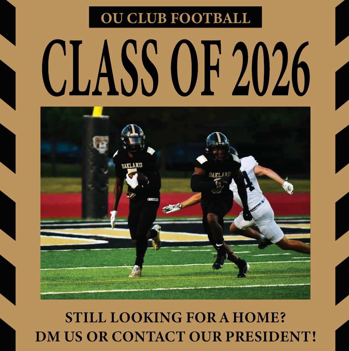 Rocco Molly tweet media