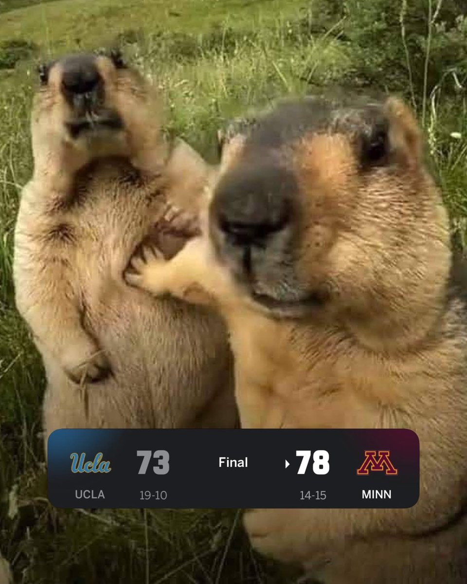 Minnesota Men's Basketball tweet media