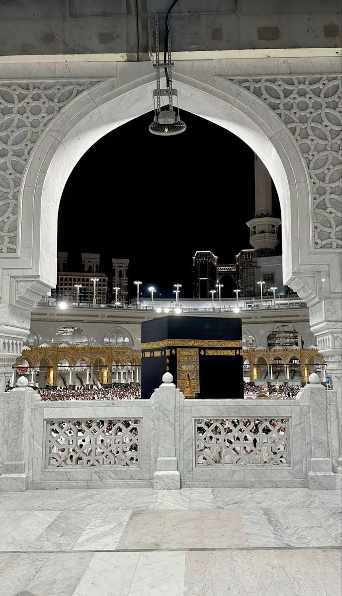 المُؤيد الكلباني tweet media