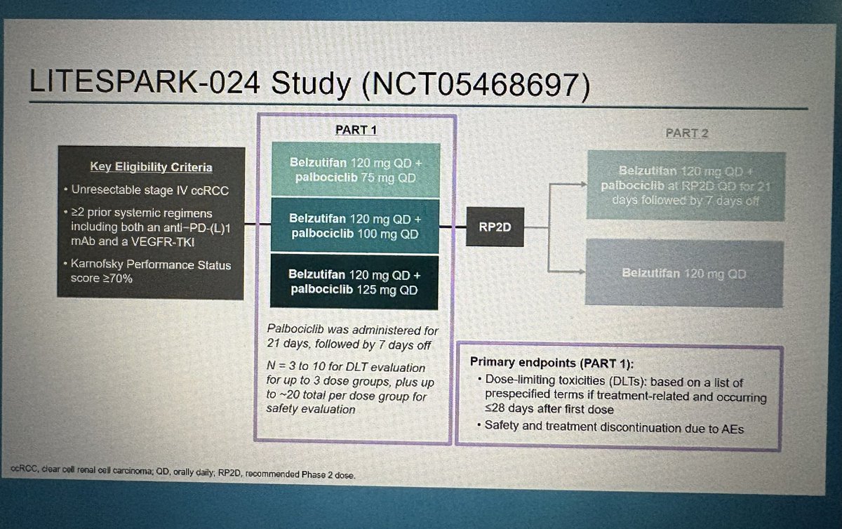 Jun Gong tweet media