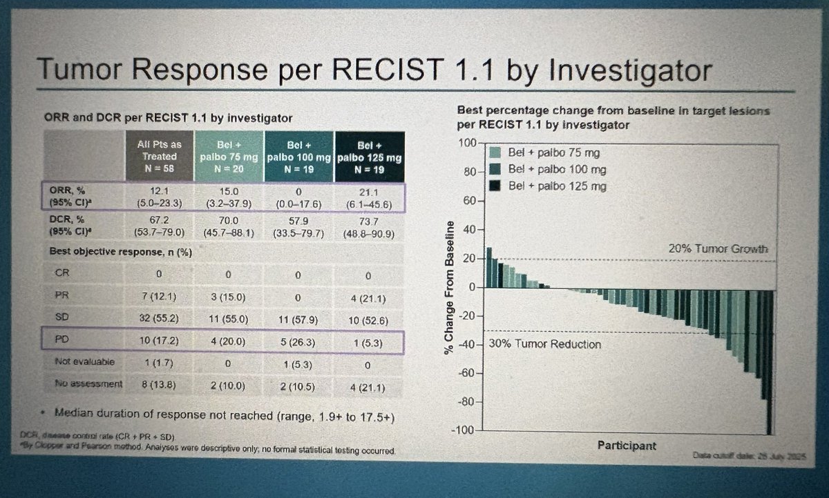 Jun Gong tweet media