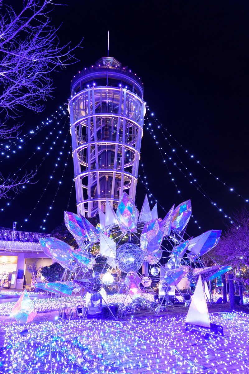 最近はポトレ活動が中心で、植物や風景の撮影ができてませんでしたが、2月は時間を作ってお出かけしました🫠

まずは神奈川県の江ノ島で開催されていた｢湘南の宝石｣✨
今年から日本三大イルミネーションに認定されたそうで、幻想的な世界にウットリ🥹