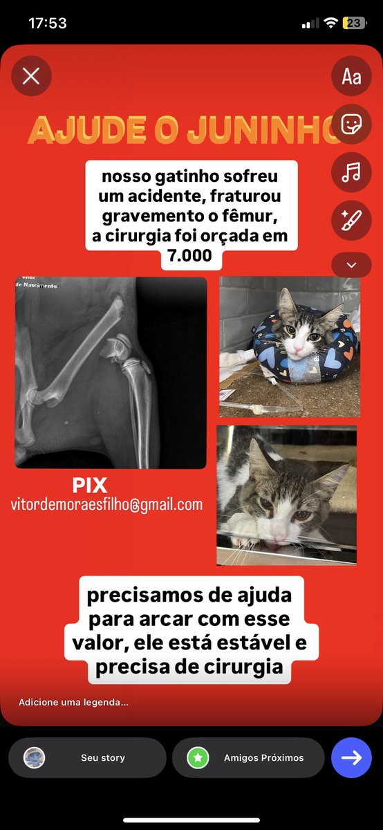 sergipe666's tweet photo. oi gente o gatinho do meu namorado sofreu um acidente, e precisou fazer uma cirurgia de emergência, orçamento saiu em 7k, se alguém puder e quiser ajudar ficariamos muito gratos!!! ⚠️

Pix: vitordemoraesfilho@gmail.com
Vakinha: https://t.co/IovhzAoKTm https://t.co/qa2LGlPwE8