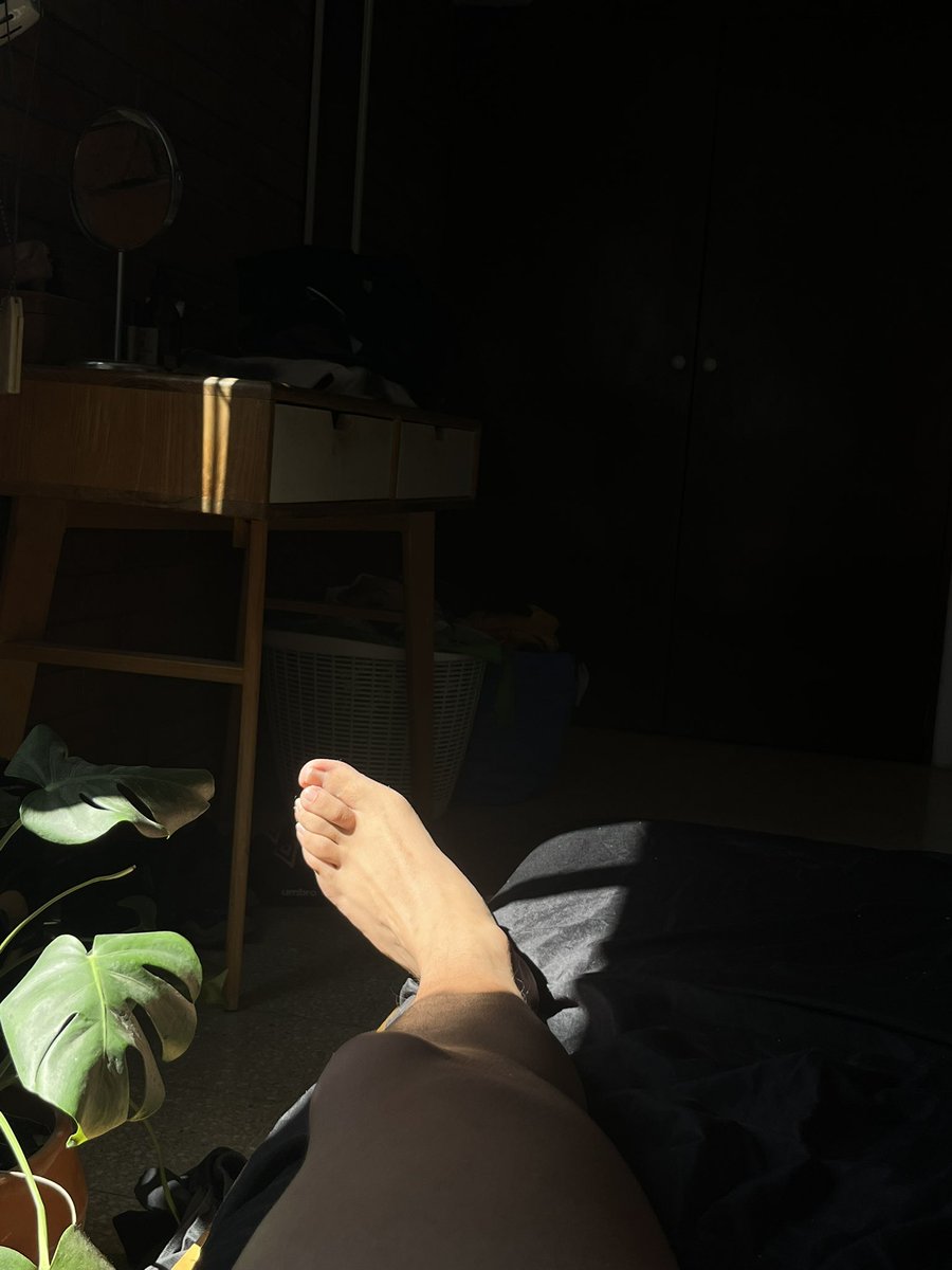 immmma nol tweet media