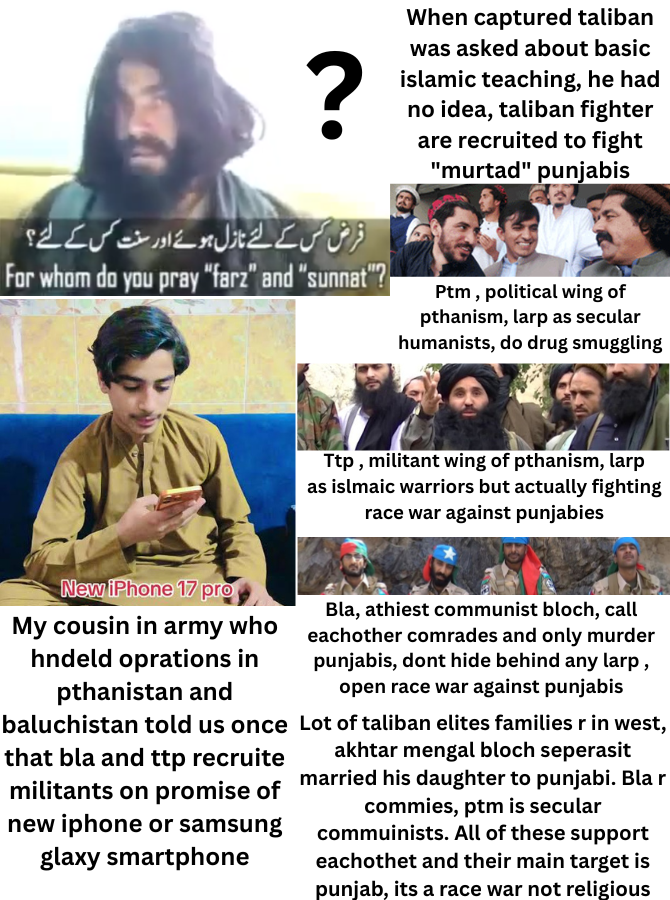 Taliban like groups only impress uk paki incels, punjabi dont get fooled by muh islamic warrior larp as we know its all a giant scam and its a ethnic issue between punjabis and pthan, balochs. My uncle in army told me today pak army main plan is now to get rid of taliban for good