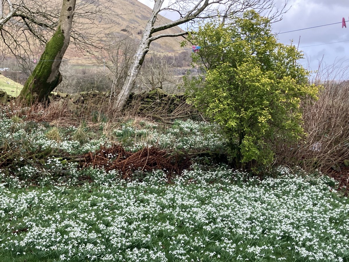 Andrea Meanwell tweet media