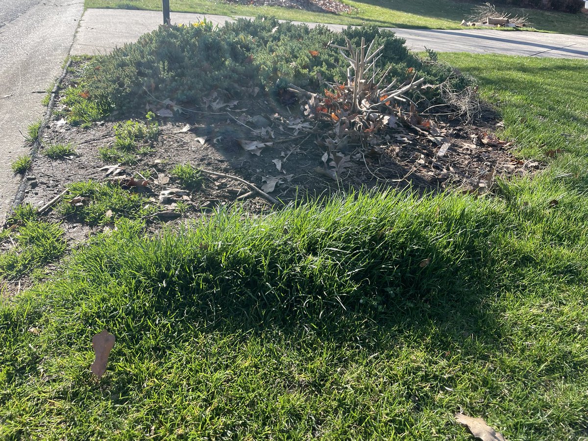 Park Sharon Grounds tweet media