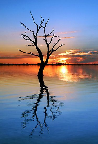 PGardev's tweet image. Good Evening.