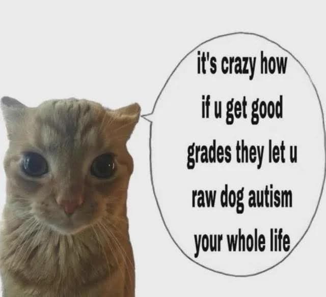 rio .ᐟ.ᐟ semi recovery (@phll0s0phlcal) on Twitter photo 