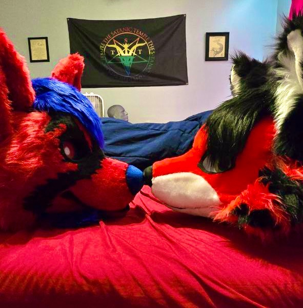 SethVixen tweet media