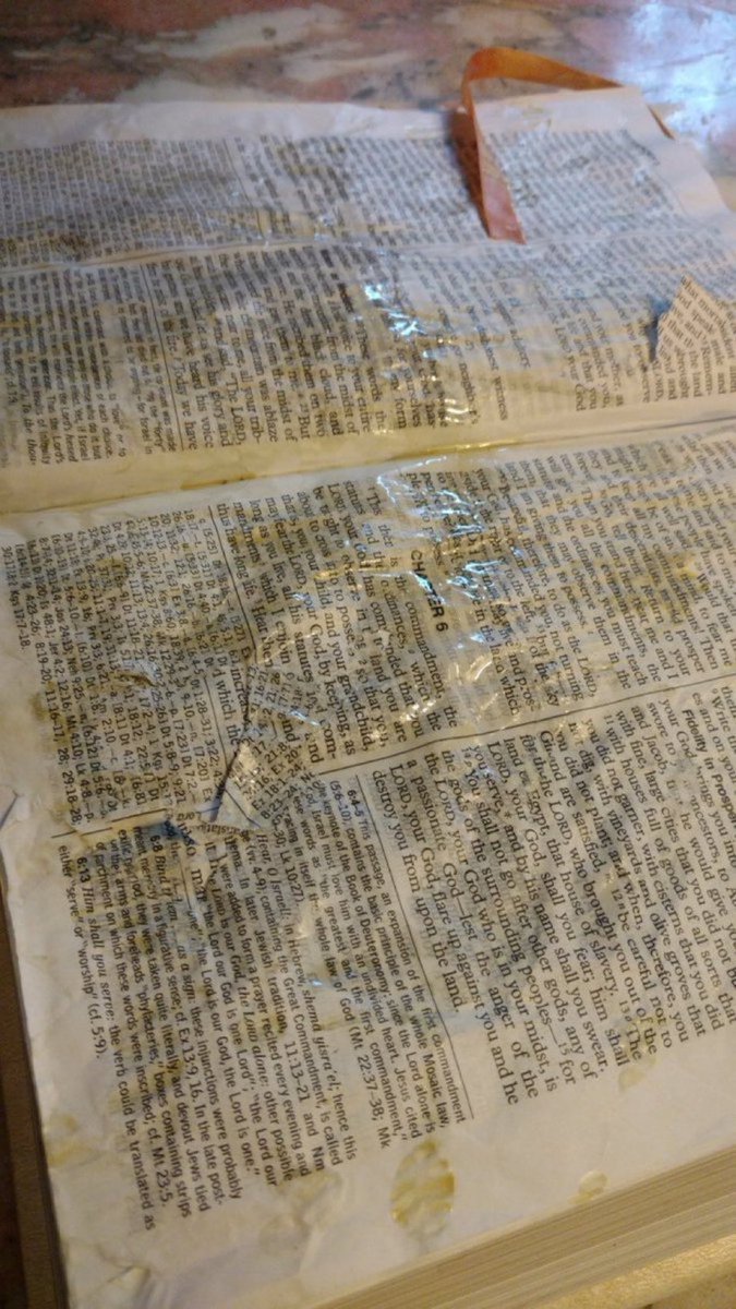 This is how Every page of your Bible should look. Covered with your Cum  till the pages become stuck together and you are unable to turn them.  When the pages get to this point it is them you should piss on it.  Lets  see some pics of your CUM and PISS Bible..  HAIL SATAN!!!