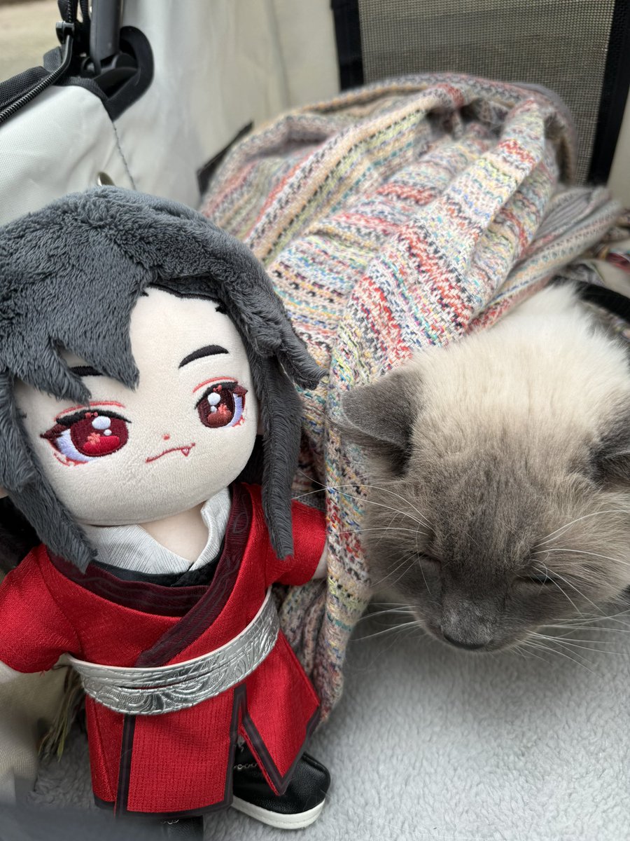It’s Howl’s second birthday, and Fafa is accompanying him to the special pet store to get some treats! 🎉