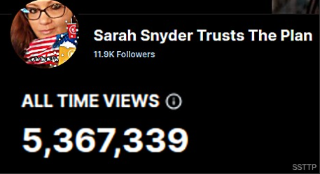 Sarah Snyder Trusts The Plan tweet media
