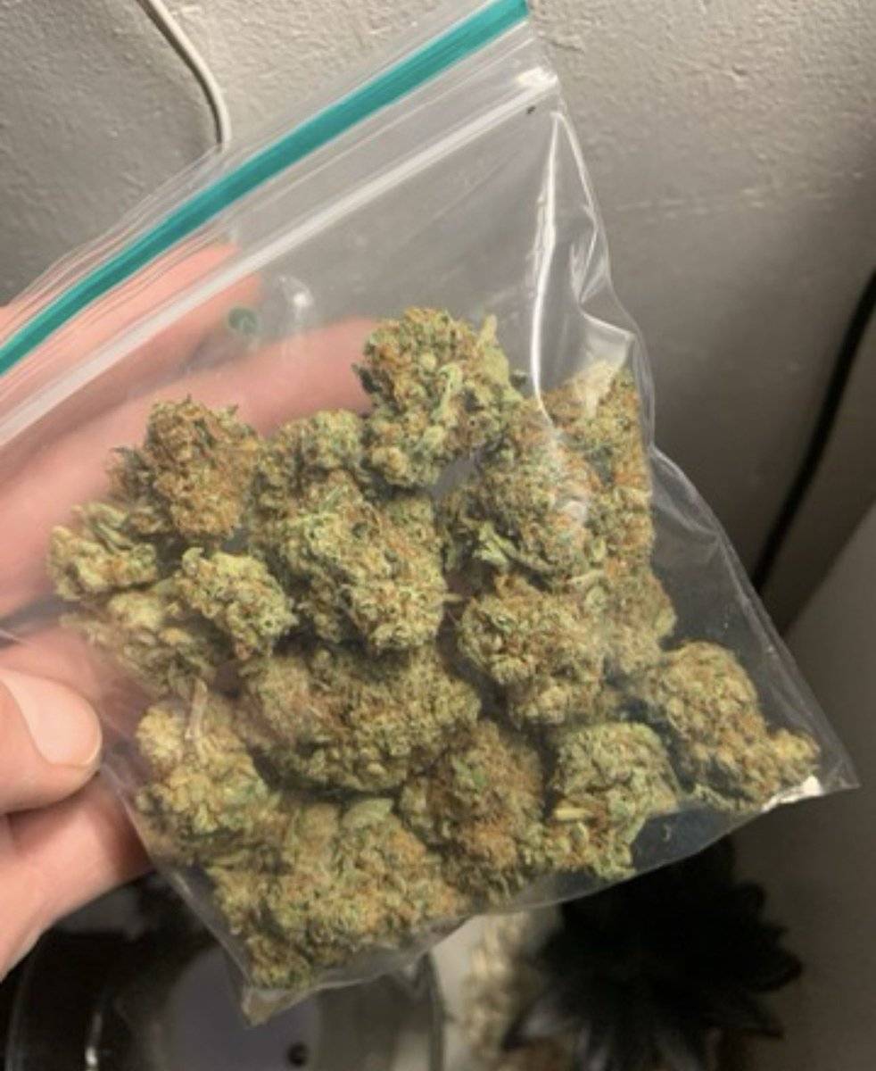 ELMER'S BUDD tweet media