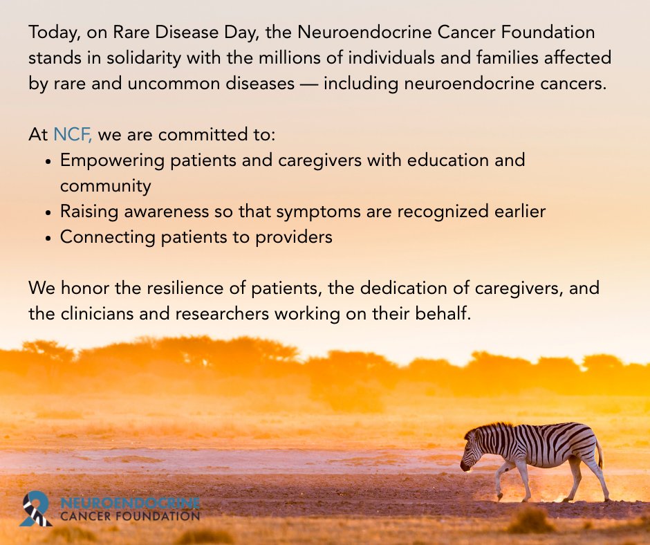 Neuroendocrine Cancer Foundation tweet media