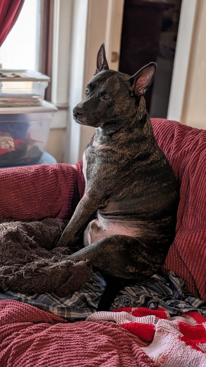 🐣🌷 Handsome Henry 🌷🐣 tweet media