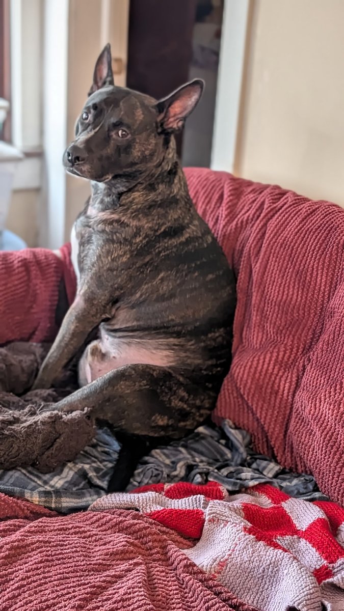 🐣🌷 Handsome Henry 🌷🐣 tweet media